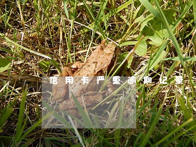 信用卡严重逾期记录 信用卡严重逾期记录