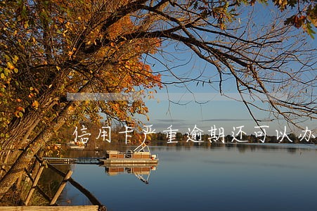 信用卡严重逾期还可以办吗 信用卡严重逾期还可以办吗