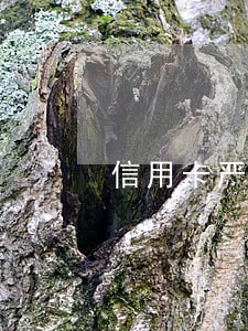信用卡严重逾期还完还能用吗