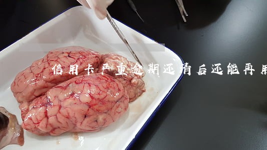 信用卡严重逾期还清后还能再用吗 信用卡严重逾期还清后还能再用吗
