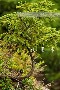 信用卡严重逾期还能从哪里借到钱 信用卡严重逾期还能从哪里借到钱