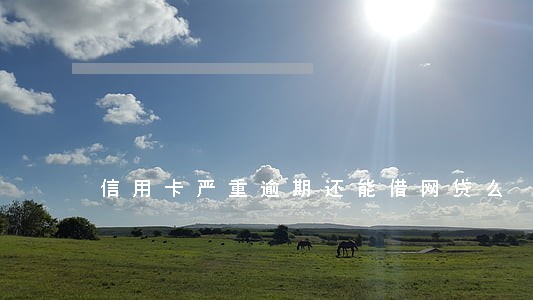 信用卡严重逾期还能借网贷么 信用卡严重逾期还能借网贷么