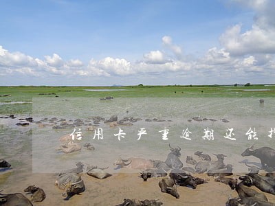 信用卡严重逾期还能找工作吗