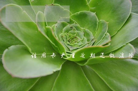 信用卡严重逾期还能消除吗 信用卡严重逾期还能消除吗