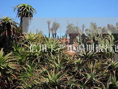 信用卡严重逾期银行说要报案 信用卡严重逾期银行说要报案