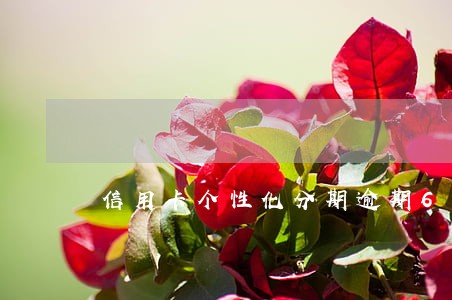 信用卡个性化分期逾期6个月