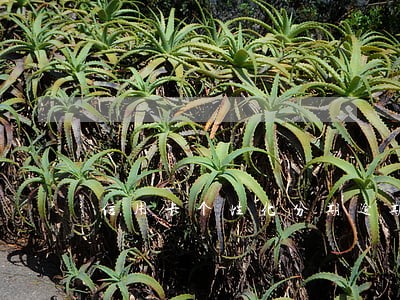 信用卡个性化分期逾期一天可以 信用卡个性化分期逾期一天可以