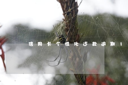 信用卡个性化还款逾期1天 信用卡个性化还款逾期1天