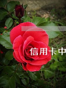 信用卡中心上班客户逾期 信用卡中心上班客户逾期
