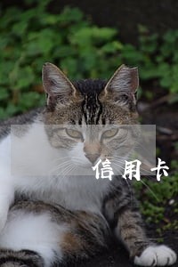 信用卡中心减免逾期费签订协议 信用卡中心减免逾期费签订协议
