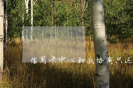 信用卡中心和我协商只还本金