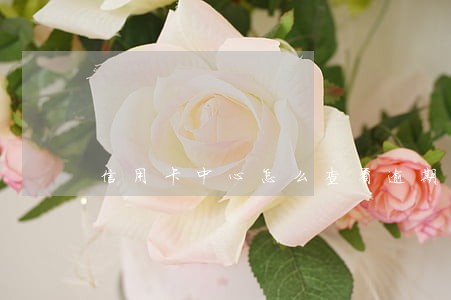 信用卡中心怎么查看逾期记录