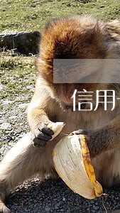 信用卡中心电话说逾期不上征信 信用卡中心电话说逾期不上征信