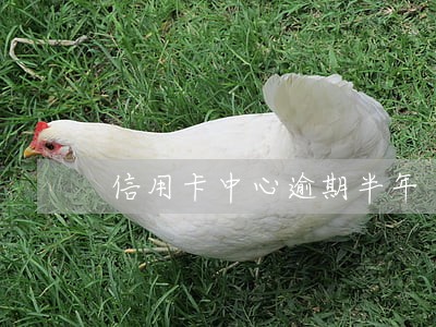 信用卡中心逾期半年 信用卡中心逾期半年