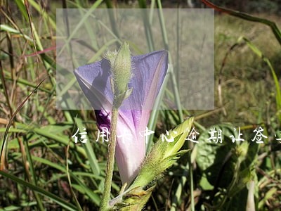 信用卡中心逾期让签字