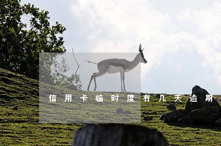 信用卡临时度有几天逾期 信用卡临时度有几天逾期