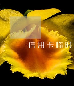 信用卡临时提额逾期好几天了 信用卡临时提额逾期好几天了
