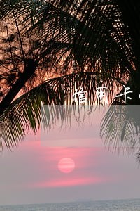 信用卡临时逾期三四天怎么办 信用卡临时逾期三四天怎么办