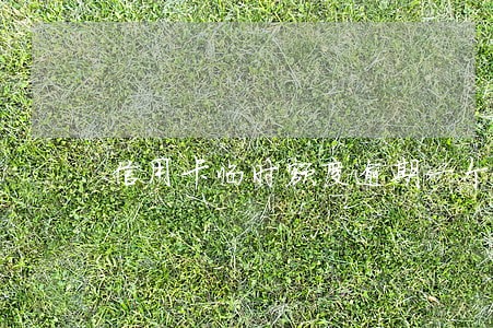 信用卡临时额度逾期一个月