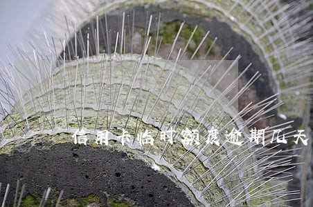 信用卡临时额度逾期几天上征信 信用卡临时额度逾期几天上征信