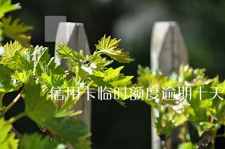 信用卡临时额度逾期十天