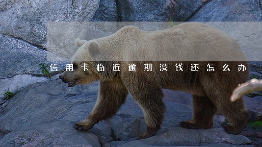 信用卡临近逾期没钱还怎么办 信用卡临近逾期没钱还怎么办