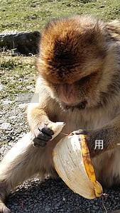 信用卡临额算逾期吗 信用卡临额算逾期吗