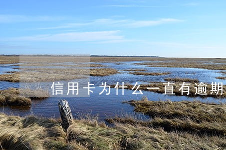 信用卡为什么一直有逾期 信用卡为什么一直有逾期