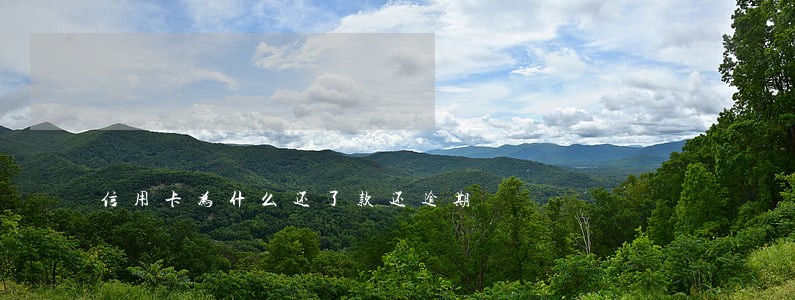 信用卡为什么还了款还逾期 信用卡为什么还了款还逾期