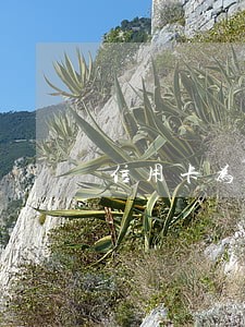 信用卡为什么逾期不涨利息了 信用卡为什么逾期不涨利息了