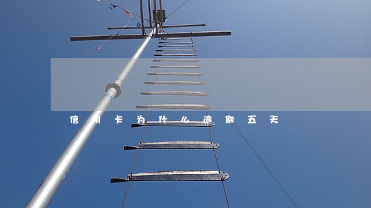 信用卡为什么逾期五天 信用卡为什么逾期五天