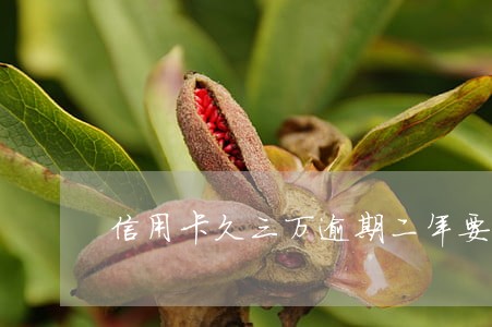 信用卡久三万逾期二年要还多少