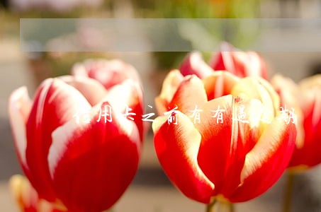 信用卡之前有有过逾期 信用卡之前有有过逾期