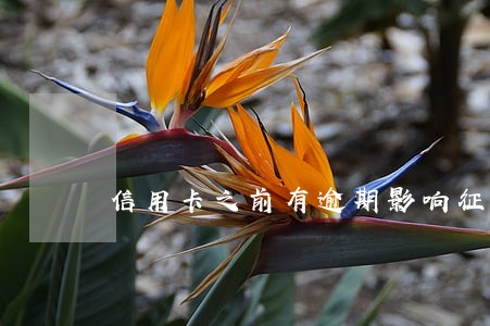 信用卡之前有逾期影响征信吗 信用卡之前有逾期影响征信吗