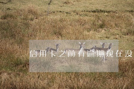 信用卡之前有逾期现在没有了 信用卡之前有逾期现在没有了