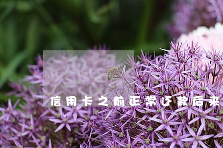 信用卡之前正常还款后来逾期 信用卡之前正常还款后来逾期