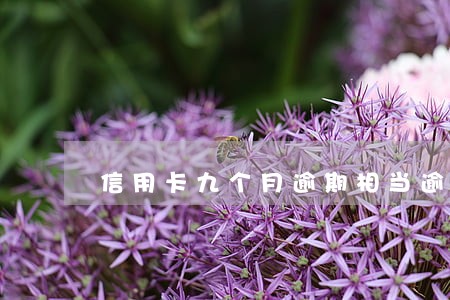 信用卡九个月逾期相当逾期多少次 信用卡九个月逾期相当逾期多少次