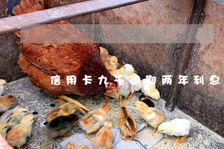 信用卡九千逾期两年利息是多少
