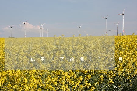 信用卡了逾期11个月 信用卡了逾期11个月