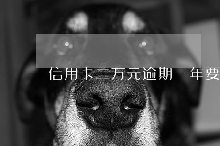 信用卡二万元逾期一年要还多少