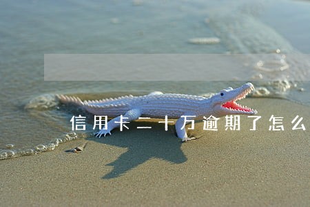 信用卡二十万逾期了怎么办