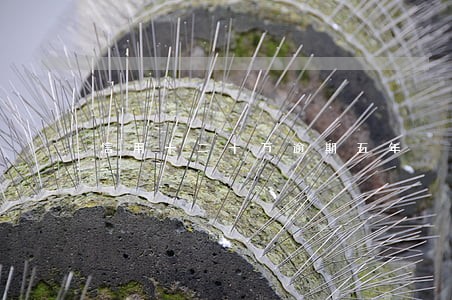 信用卡二十万逾期五年 信用卡二十万逾期五年