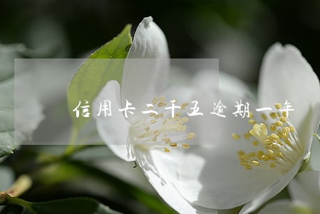 信用卡二千五逾期一年 信用卡二千五逾期一年