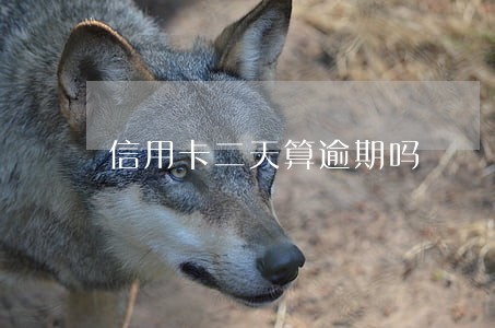 信用卡二天算逾期吗