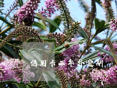 信用卡二年外逾期 信用卡二年外逾期