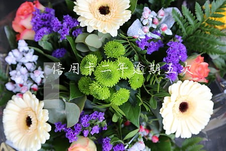 信用卡二年逾期五次 信用卡二年逾期五次