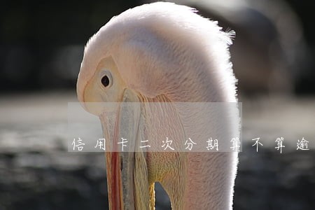 信用卡二次分期算不算逾期 信用卡二次分期算不算逾期