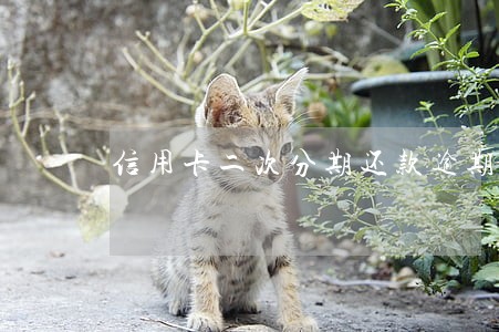信用卡二次分期还款逾期了怎么办 信用卡二次分期还款逾期了怎么办