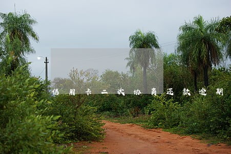 信用卡二次协商还款逾期怎么办 信用卡二次协商还款逾期怎么办
