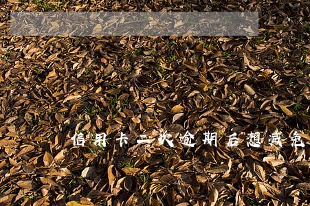 信用卡二次逾期后想减免全部还完 信用卡二次逾期后想减免全部还完